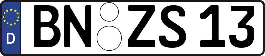 BN-ZS13