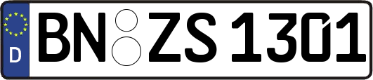 BN-ZS1301