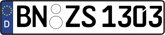 BN-ZS1303