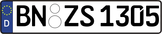 BN-ZS1305