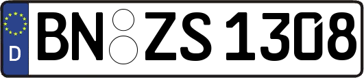 BN-ZS1308