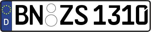 BN-ZS1310
