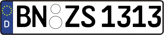 BN-ZS1313