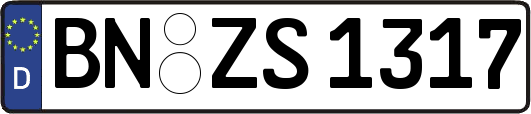 BN-ZS1317