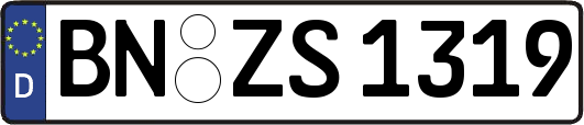 BN-ZS1319