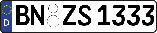 BN-ZS1333