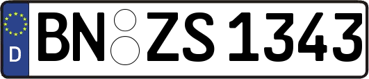 BN-ZS1343