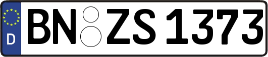 BN-ZS1373