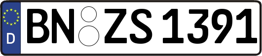 BN-ZS1391