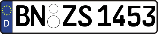 BN-ZS1453