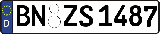 BN-ZS1487