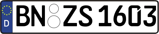 BN-ZS1603