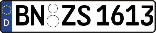 BN-ZS1613