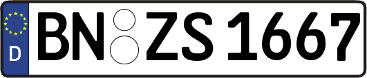 BN-ZS1667