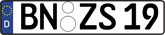 BN-ZS19