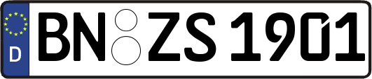 BN-ZS1901