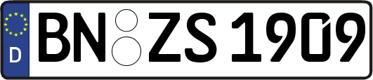BN-ZS1909