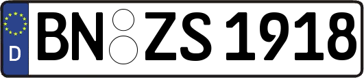 BN-ZS1918