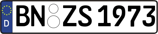 BN-ZS1973