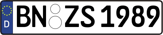 BN-ZS1989