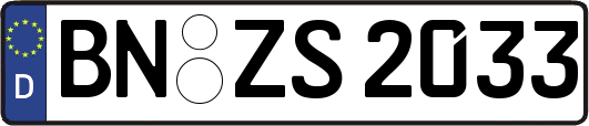 BN-ZS2033