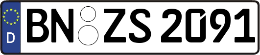 BN-ZS2091
