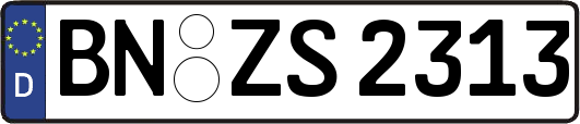 BN-ZS2313