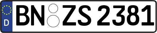 BN-ZS2381