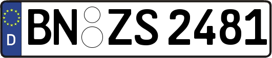 BN-ZS2481