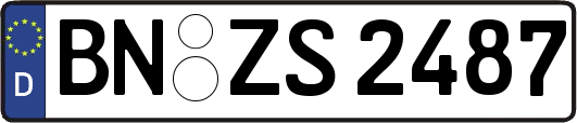 BN-ZS2487