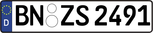 BN-ZS2491