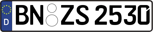 BN-ZS2530