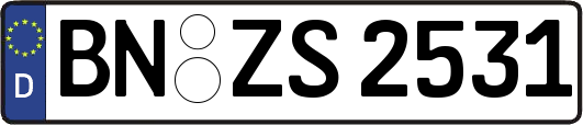 BN-ZS2531