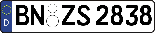 BN-ZS2838
