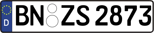 BN-ZS2873