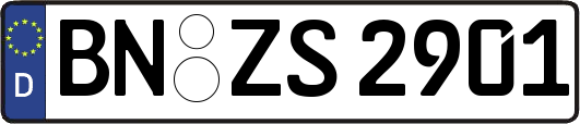 BN-ZS2901
