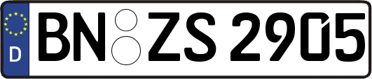 BN-ZS2905