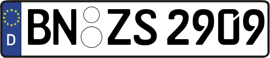 BN-ZS2909