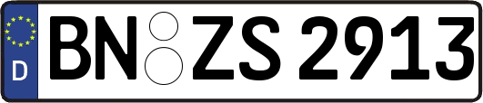 BN-ZS2913
