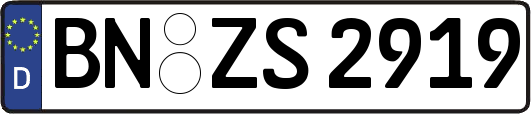 BN-ZS2919