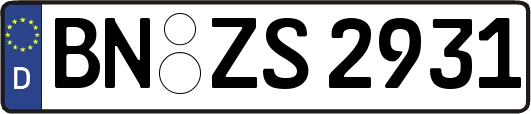 BN-ZS2931