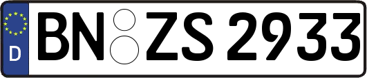 BN-ZS2933