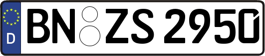 BN-ZS2950
