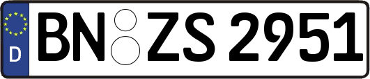 BN-ZS2951