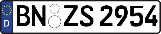 BN-ZS2954