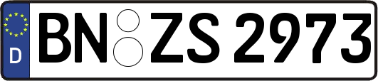 BN-ZS2973