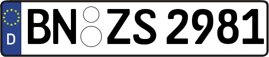 BN-ZS2981