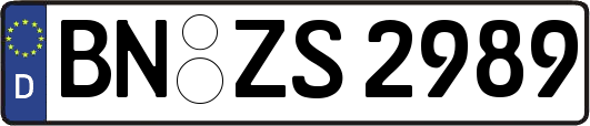 BN-ZS2989