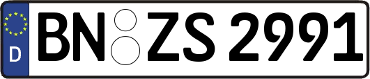 BN-ZS2991