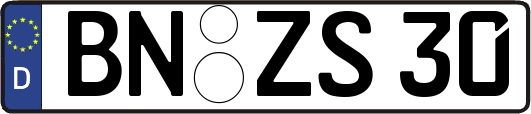BN-ZS30